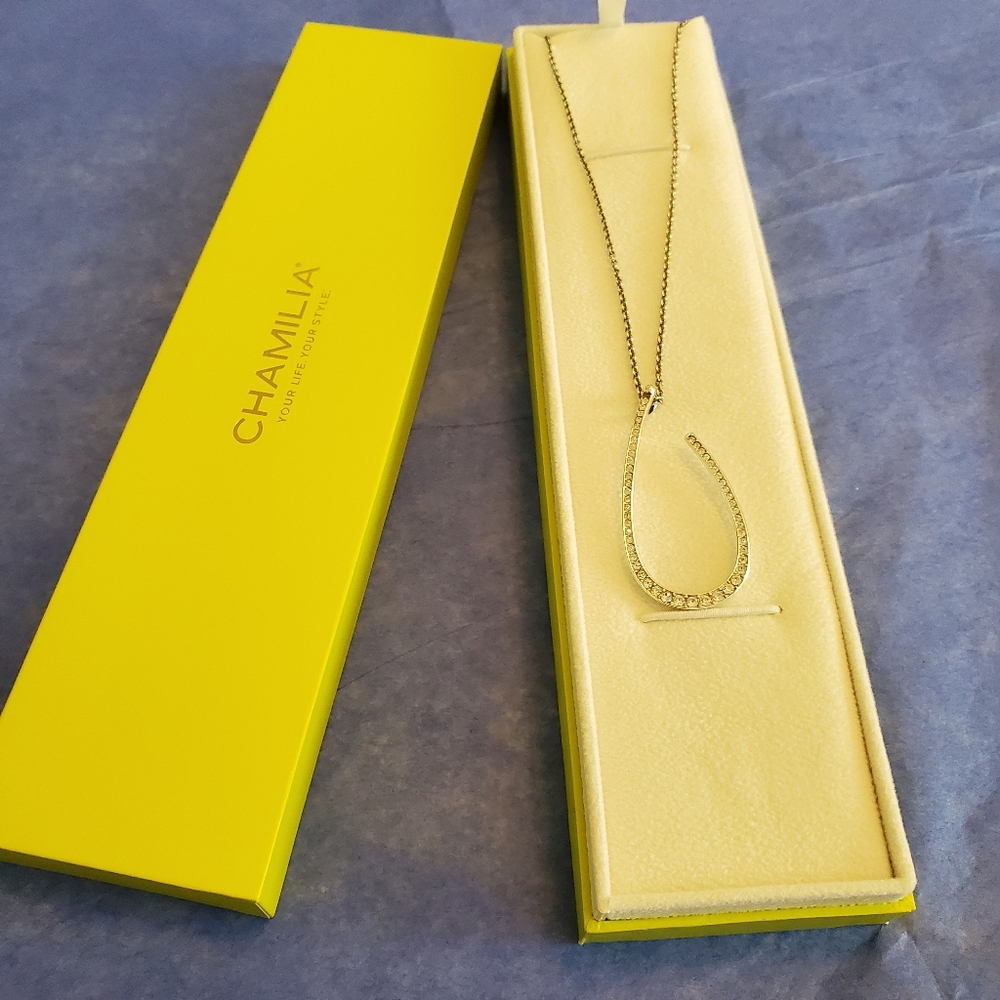 Chamilia Necklace and pendant💚PRICE FIRM